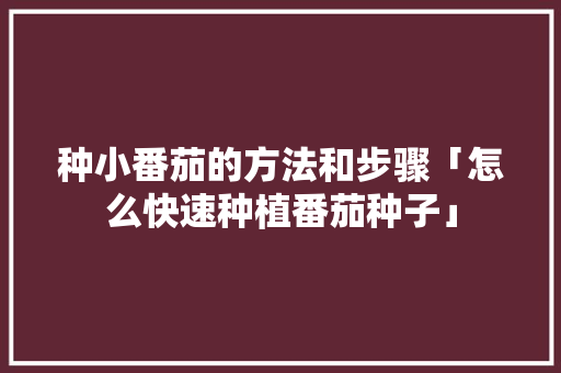 种小番茄的方法和步骤「怎么快速种植番茄种子」 种小番茄的方法和步骤「怎么快速种植番茄种子」 番茄种植技巧