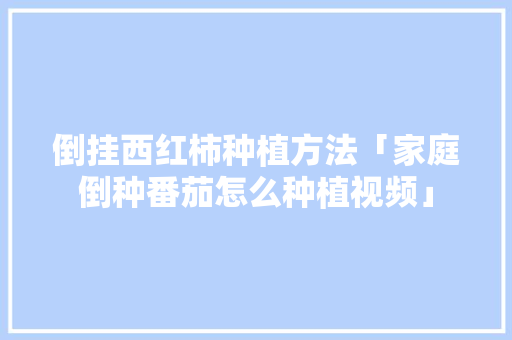 倒挂西红柿种植方法「家庭倒种番茄怎么种植视频」 倒挂西红柿种植方法「家庭倒种番茄怎么种植视频」 土壤施肥