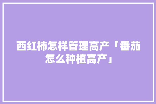 西红柿怎样管理高产「番茄怎么种植高产」