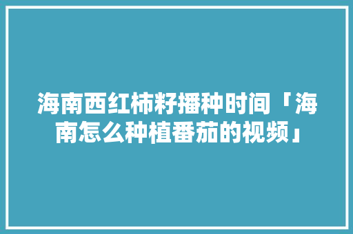 海南西红柿籽播种时间「海南怎么种植番茄的视频」 海南西红柿籽播种时间「海南怎么种植番茄的视频」 农业常识