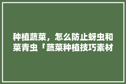 种植蔬菜，怎么防止蚜虫和菜青虫「蔬菜种植技巧素材图片」 种植蔬菜，怎么防止蚜虫和菜青虫「蔬菜种植技巧素材图片」 农业常识