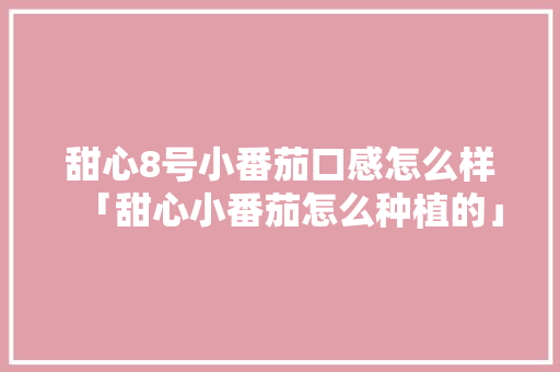 甜心8号小番茄口感怎么样「甜心小番茄怎么种植的」