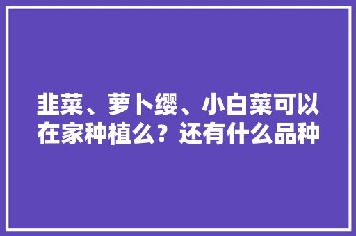 韭菜、萝卜缨、小白菜可以在家种植么？还有什么品种可以在家种植「居家蔬菜种植小技巧图片大全」