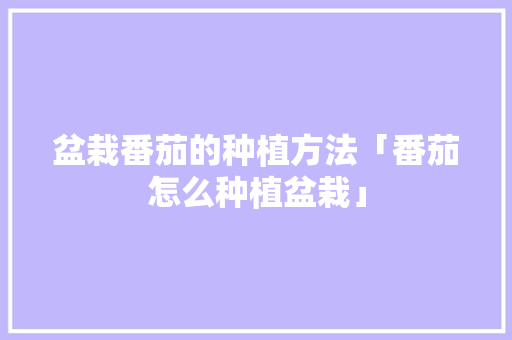 盆栽番茄的种植方法「番茄怎么种植盆栽」 盆栽番茄的种植方法「番茄怎么种植盆栽」 番茄种植技巧