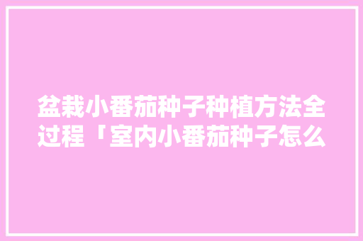 盆栽小番茄种子种植方法全过程「室内小番茄种子怎么种植视频」 盆栽小番茄种子种植方法全过程「室内小番茄种子怎么种植视频」 种植技巧