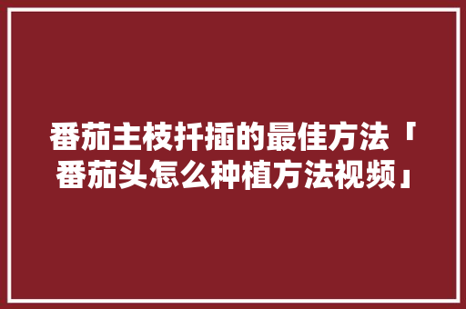 番茄主枝扦插的最佳方法「番茄头怎么种植方法视频」 番茄主枝扦插的最佳方法「番茄头怎么种植方法视频」 番茄种植技巧