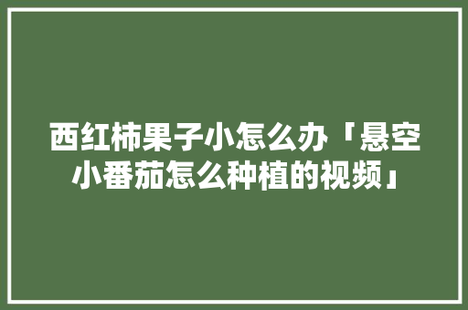 西红柿果子小怎么办「悬空小番茄怎么种植的视频」 西红柿果子小怎么办「悬空小番茄怎么种植的视频」 农业常识