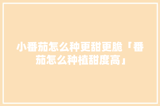 小番茄怎么种更甜更脆「番茄怎么种植甜度高」 小番茄怎么种更甜更脆「番茄怎么种植甜度高」 土壤施肥