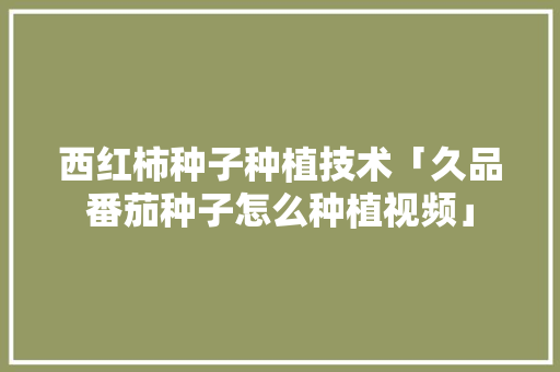 西红柿种子种植技术「久品番茄种子怎么种植视频」 西红柿种子种植技术「久品番茄种子怎么种植视频」 番茄病虫害防治