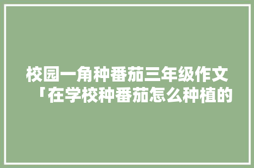 校园一角种番茄三年级作文「在学校种番茄怎么种植的」 校园一角种番茄三年级作文「在学校种番茄怎么种植的」 植物种类