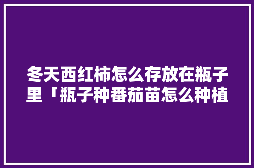 冬天西红柿怎么存放在瓶子里「瓶子种番茄苗怎么种植视频」 冬天西红柿怎么存放在瓶子里「瓶子种番茄苗怎么种植视频」 番茄种植技巧