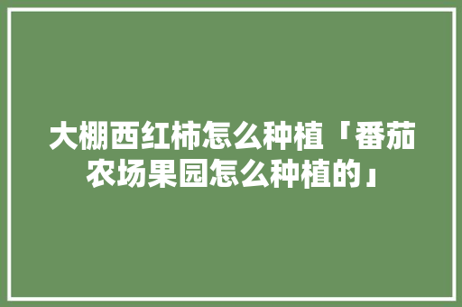 大棚西红柿怎么种植「番茄农场果园怎么种植的」 大棚西红柿怎么种植「番茄农场果园怎么种植的」 种植技巧
