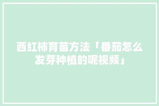 西红柿育苗方法「番茄怎么发芽种植的呢视频」 西红柿育苗方法「番茄怎么发芽种植的呢视频」 番茄种植技巧