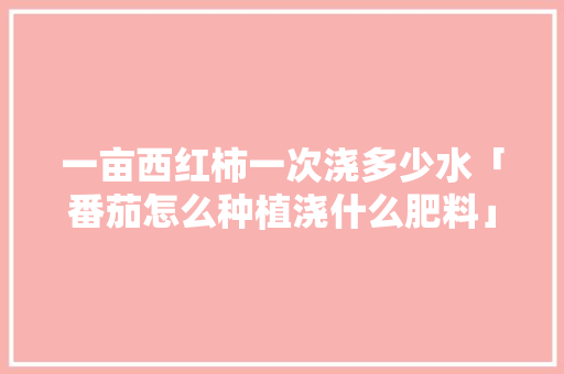 一亩西红柿一次浇多少水「番茄怎么种植浇什么肥料」 一亩西红柿一次浇多少水「番茄怎么种植浇什么肥料」 种植技巧