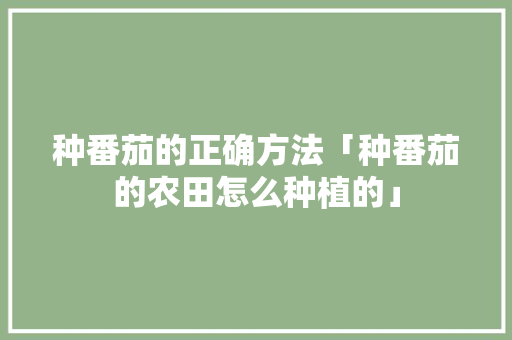种番茄的正确方法「种番茄的农田怎么种植的」 种番茄的正确方法「种番茄的农田怎么种植的」 番茄病虫害防治