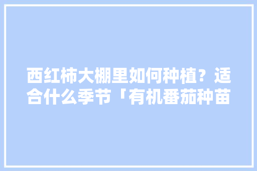 西红柿大棚里如何种植？适合什么季节「有机番茄种苗怎么种植视频」 西红柿大棚里如何种植？适合什么季节「有机番茄种苗怎么种植视频」 农业常识