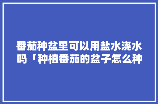 番茄种盆里可以用盐水浇水吗「种植番茄的盆子怎么种植的」 番茄种盆里可以用盐水浇水吗「种植番茄的盆子怎么种植的」 番茄病虫害防治