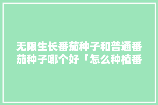 无限生长番茄种子和普通番茄种子哪个好「怎么种植番茄子视频教程」 无限生长番茄种子和普通番茄种子哪个好「怎么种植番茄子视频教程」 番茄病虫害防治