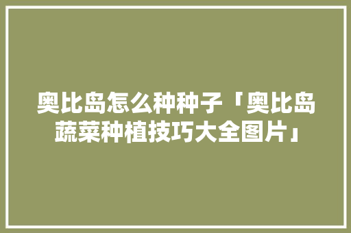 奥比岛怎么种种子「奥比岛蔬菜种植技巧大全图片」