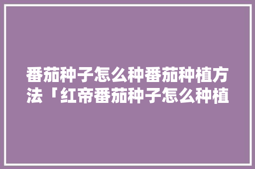 番茄种子怎么种番茄种植方法「红帝番茄种子怎么种植视频」 番茄种子怎么种番茄种植方法「红帝番茄种子怎么种植视频」 番茄病虫害防治