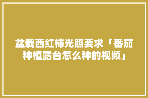 盆栽西红柿光照要求「番茄种植露台怎么种的视频」 植物种类 盆栽西红柿光照要求「番茄种植露台怎么种的视频」 盆栽西红柿光照要求「番茄种植露台怎么种的视频」 植物种类