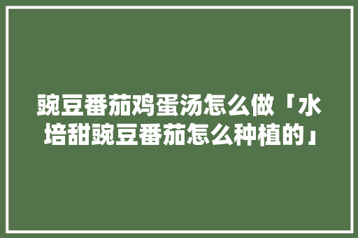豌豆番茄鸡蛋汤怎么做「水培甜豌豆番茄怎么种植的」 豌豆番茄鸡蛋汤怎么做「水培甜豌豆番茄怎么种植的」 土壤施肥