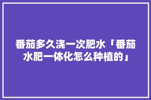 番茄多久浇一次肥水「番茄水肥一体化怎么种植的」 番茄多久浇一次肥水「番茄水肥一体化怎么种植的」 种植技巧