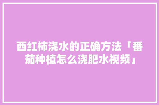 西红柿浇水的正确方法「番茄种植怎么浇肥水视频」 西红柿浇水的正确方法「番茄种植怎么浇肥水视频」 花朵知识