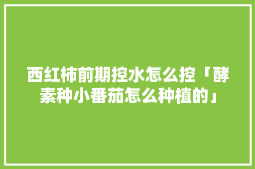 西红柿前期控水怎么控「酵素种小番茄怎么种植的」 西红柿前期控水怎么控「酵素种小番茄怎么种植的」 番茄病虫害防治