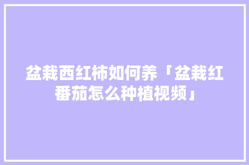 盆栽西红柿如何养「盆栽红番茄怎么种植视频」 盆栽西红柿如何养「盆栽红番茄怎么种植视频」 花朵知识