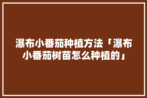 瀑布小番茄种植方法「瀑布小番茄树苗怎么种植的」 瀑布小番茄种植方法「瀑布小番茄树苗怎么种植的」 花朵知识