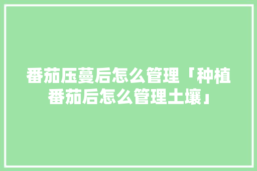 番茄压蔓后怎么管理「种植番茄后怎么管理土壤」 番茄压蔓后怎么管理「种植番茄后怎么管理土壤」 种植技巧