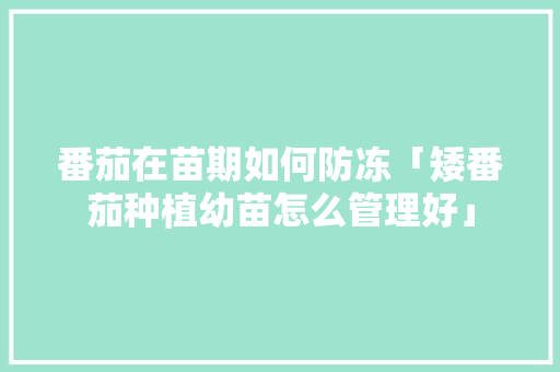番茄在苗期如何防冻「矮番茄种植幼苗怎么管理好」 番茄在苗期如何防冻「矮番茄种植幼苗怎么管理好」 番茄病虫害防治