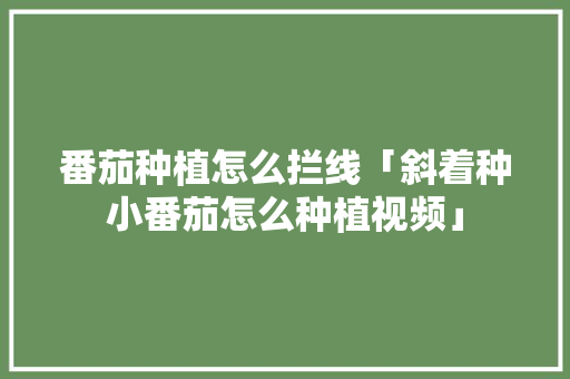 番茄种植怎么拦线「斜着种小番茄怎么种植视频」 番茄种植怎么拦线「斜着种小番茄怎么种植视频」 土壤施肥