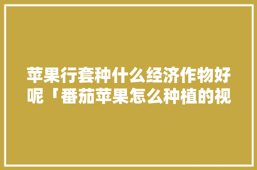 苹果行套种什么经济作物好呢「番茄苹果怎么种植的视频」 苹果行套种什么经济作物好呢「番茄苹果怎么种植的视频」 种植技巧