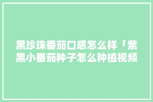 黑珍珠番茄口感怎么样「紫黑小番茄种子怎么种植视频」 植物种类 黑珍珠番茄口感怎么样「紫黑小番茄种子怎么种植视频」 黑珍珠番茄口感怎么样「紫黑小番茄种子怎么种植视频」 植物种类