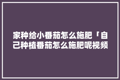 家种给小番茄怎么施肥「自己种植番茄怎么施肥呢视频」 家种给小番茄怎么施肥「自己种植番茄怎么施肥呢视频」 番茄病虫害防治