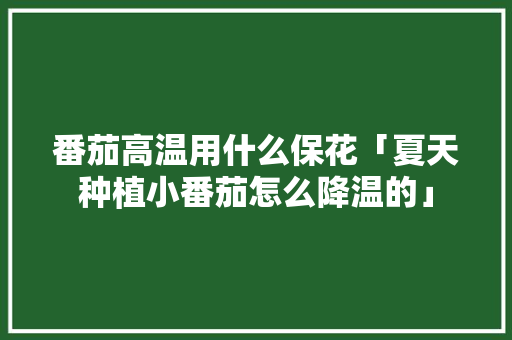 番茄高温用什么保花「夏天种植小番茄怎么降温的」 番茄高温用什么保花「夏天种植小番茄怎么降温的」 番茄病虫害防治