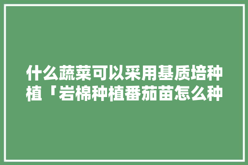 什么蔬菜可以采用基质培种植「岩棉种植番茄苗怎么种植」 农业常识 什么蔬菜可以采用基质培种植「岩棉种植番茄苗怎么种植」 什么蔬菜可以采用基质培种植「岩棉种植番茄苗怎么种植」 农业常识