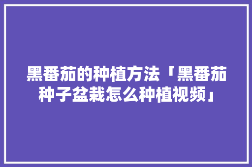 黑番茄的种植方法「黑番茄种子盆栽怎么种植视频」