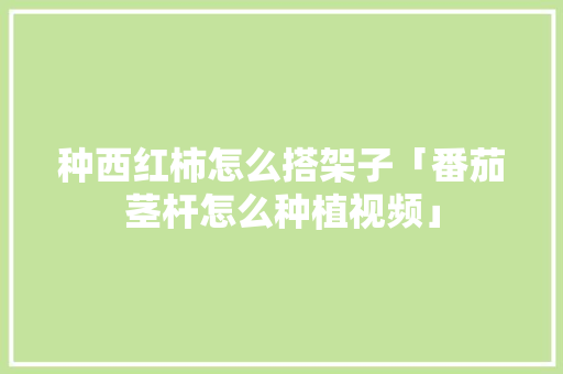 种西红柿怎么搭架子「番茄茎杆怎么种植视频」 种西红柿怎么搭架子「番茄茎杆怎么种植视频」 种植技巧