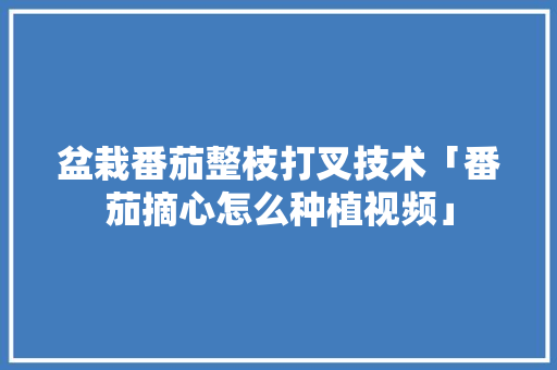 盆栽番茄整枝打叉技术「番茄摘心怎么种植视频」 盆栽番茄整枝打叉技术「番茄摘心怎么种植视频」 土壤施肥