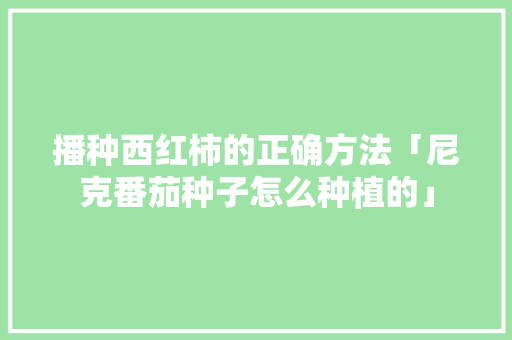 播种西红柿的正确方法「尼克番茄种子怎么种植的」 番茄种植技巧 播种西红柿的正确方法「尼克番茄种子怎么种植的」 播种西红柿的正确方法「尼克番茄种子怎么种植的」 番茄种植技巧