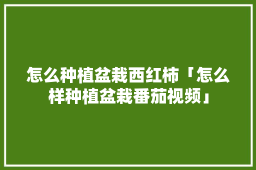 怎么种植盆栽西红柿「怎么样种植盆栽番茄视频」 怎么种植盆栽西红柿「怎么样种植盆栽番茄视频」 花朵知识