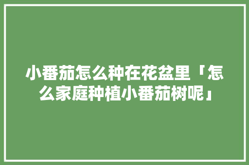 小番茄怎么种在花盆里「怎么家庭种植小番茄树呢」 农业常识 小番茄怎么种在花盆里「怎么家庭种植小番茄树呢」 小番茄怎么种在花盆里「怎么家庭种植小番茄树呢」 农业常识