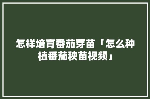 怎样培育番茄芽苗「怎么种植番茄秧苗视频」 种植技巧 怎样培育番茄芽苗「怎么种植番茄秧苗视频」 怎样培育番茄芽苗「怎么种植番茄秧苗视频」 种植技巧