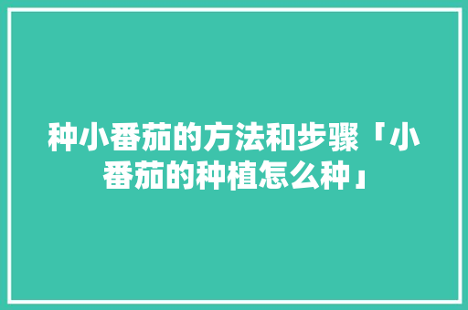 种小番茄的方法和步骤「小番茄的种植怎么种」 种小番茄的方法和步骤「小番茄的种植怎么种」 土壤施肥