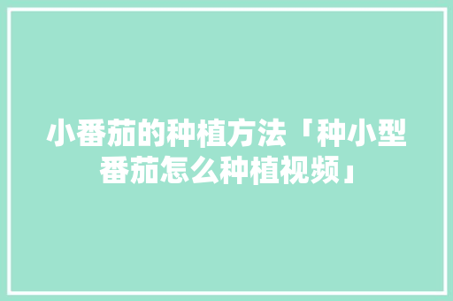 小番茄的种植方法「种小型番茄怎么种植视频」 小番茄的种植方法「种小型番茄怎么种植视频」 种植技巧