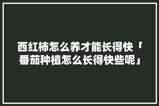 西红柿怎么养才能长得快「番茄种植怎么长得快些呢」 西红柿怎么养才能长得快「番茄种植怎么长得快些呢」 种植技巧