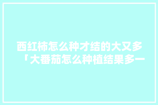 西红柿怎么种才结的大又多「大番茄怎么种植结果多一点」 西红柿怎么种才结的大又多「大番茄怎么种植结果多一点」 农业常识